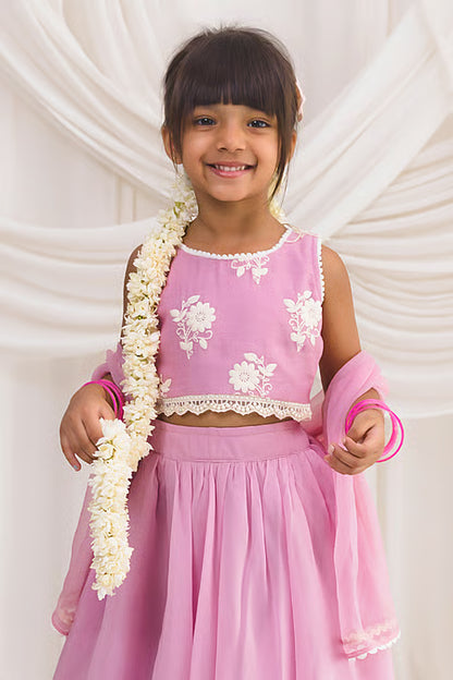 Pink Chanderi Lace, Embroidery Hem Lehenga Blouse Set