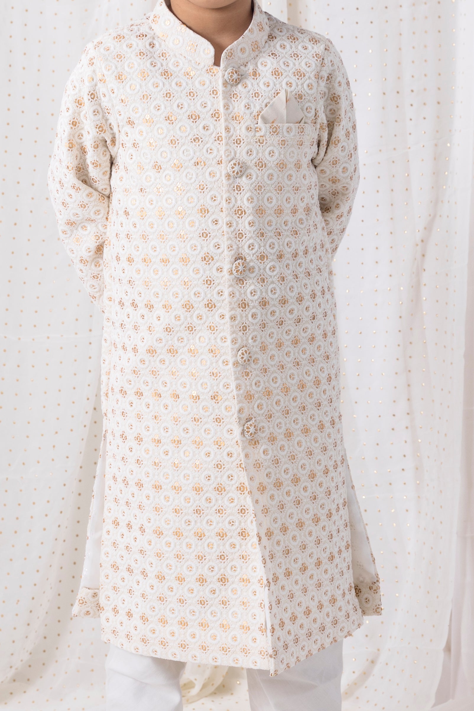 Thread and Sequence Work Sherwani