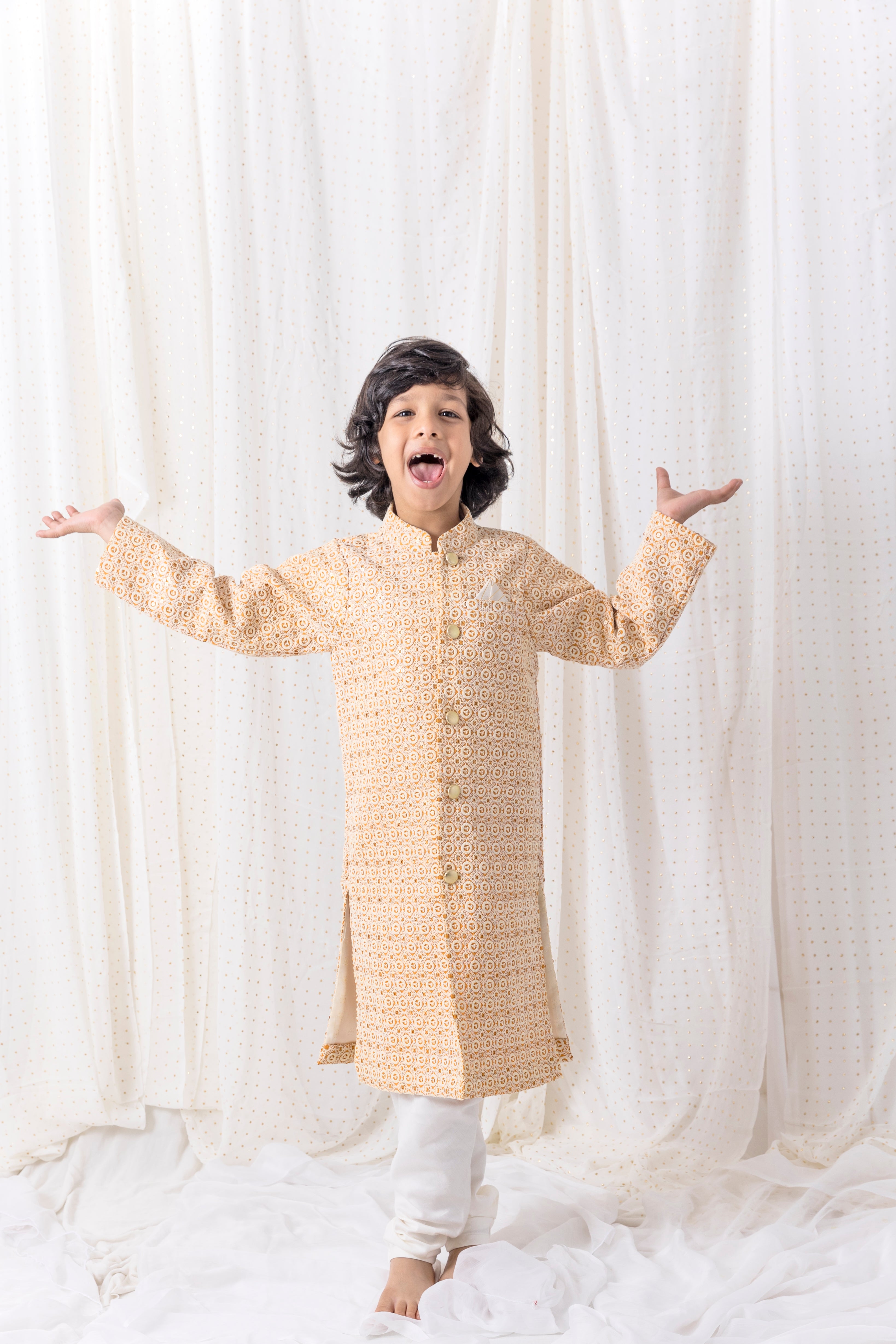 Thread and Sequence Work Sherwani