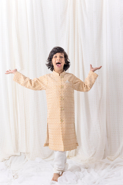 Thread and Sequence Work Sherwani