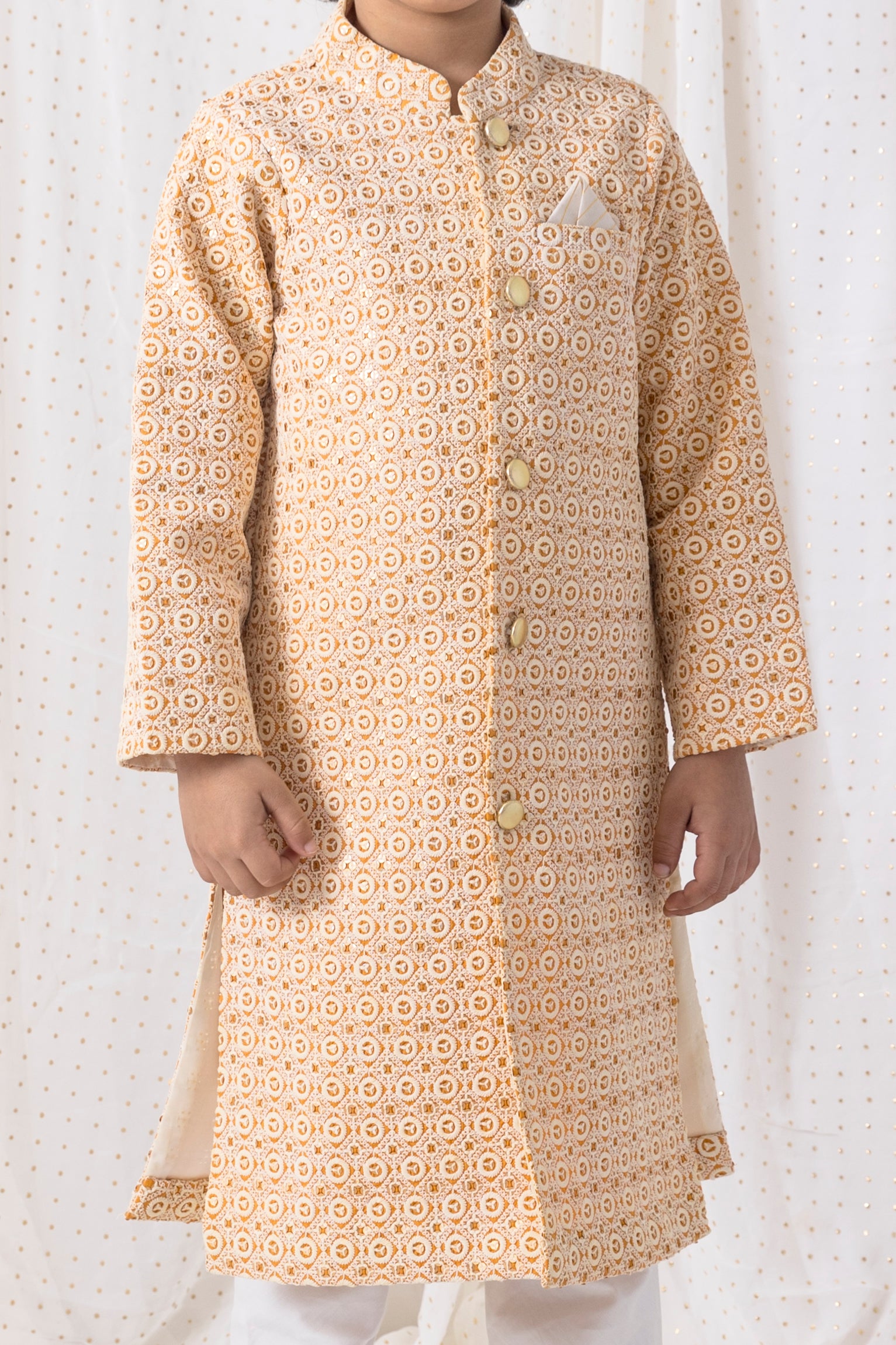 Thread and Sequence Work Sherwani