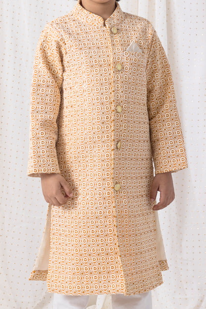 Thread and Sequence Work Sherwani