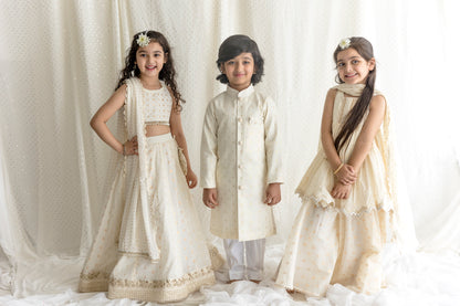 Gold And Silver Thread Work Sherwani