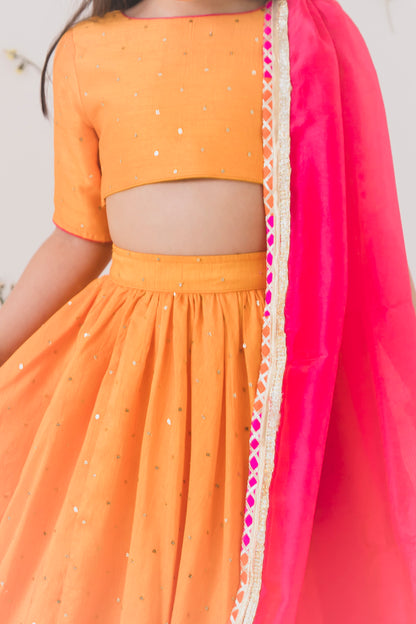 Lehenga Set