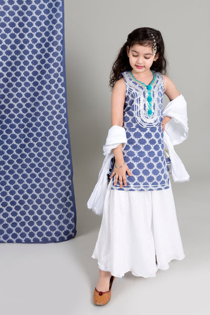 Indigo Kurta With Lurex Skirt And Crushed Mulmul Dupatta