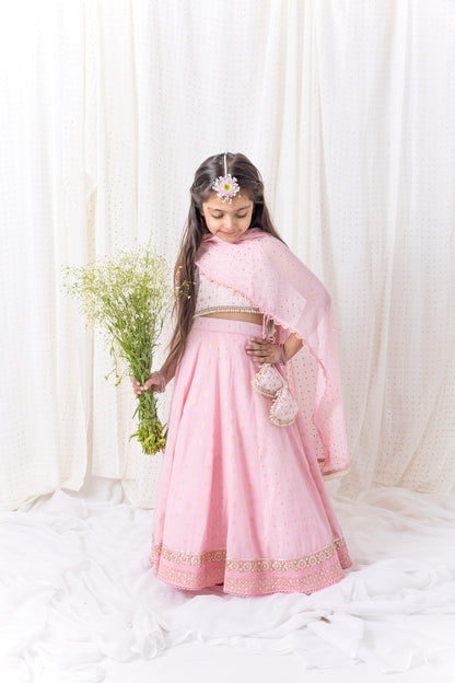 Pastel pink Lehnga