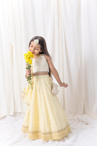 Pastel Yellow Lehnga