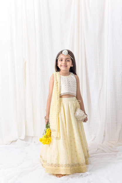 Pastel Yellow Lehnga