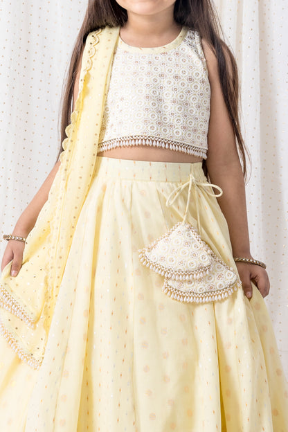 Pastel Yellow Lehnga