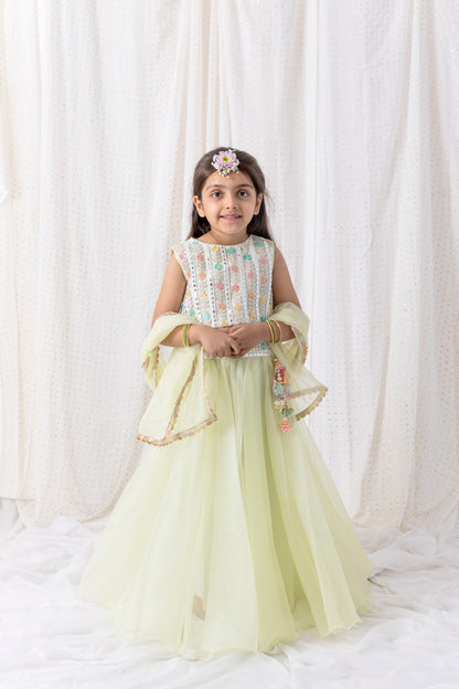 Organza Lehnga and Top