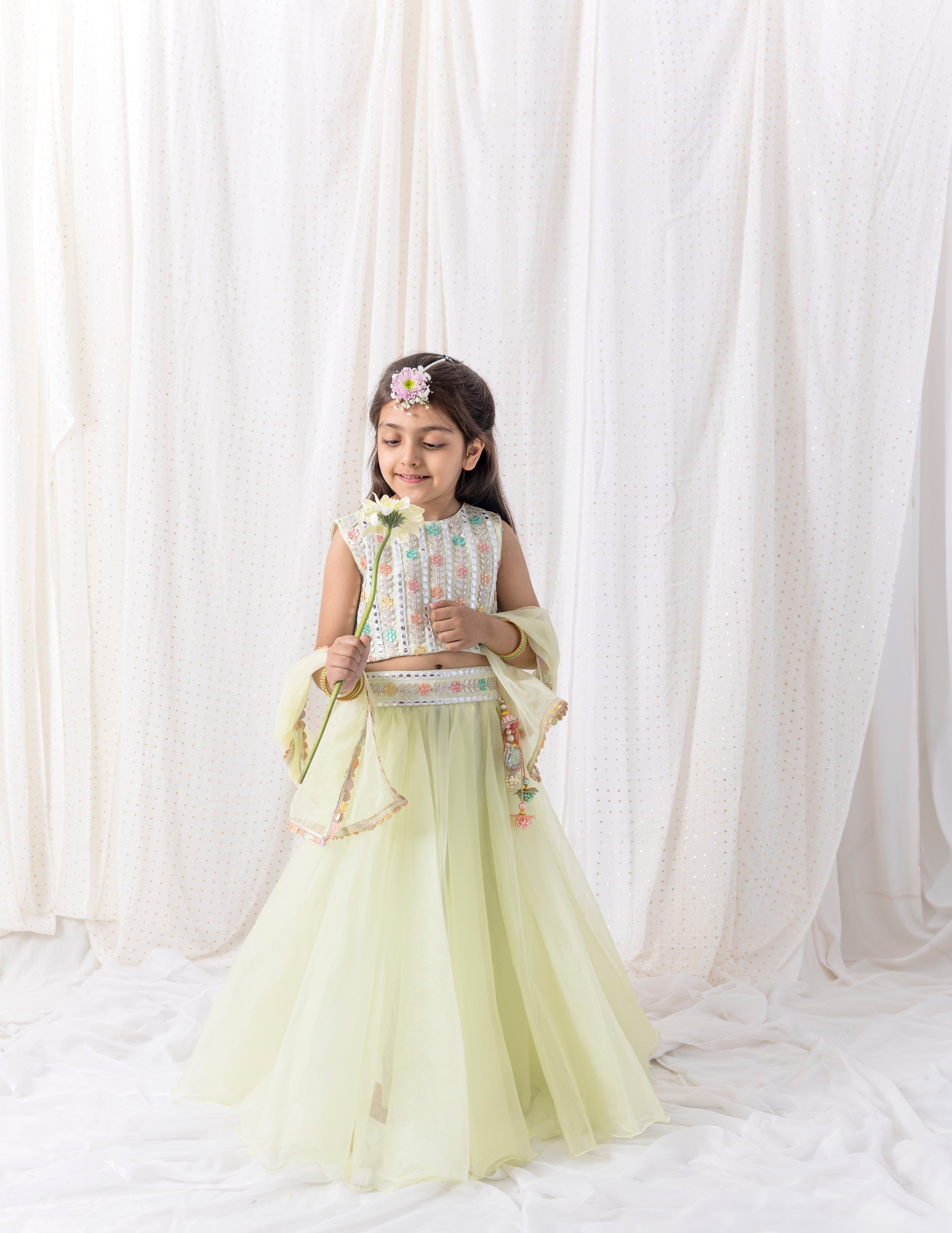 Organza Lehnga and Top
