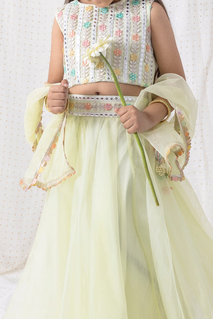 Organza Lehnga and Top