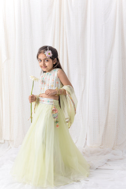 Organza Lehnga and Top