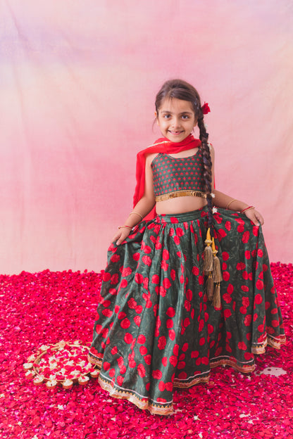 Hara Lehenga Set