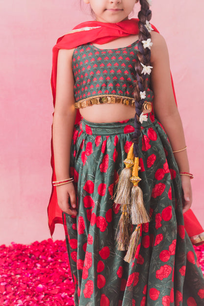 Hara Lehenga Set
