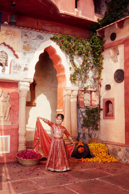 Orange brocade Lehenga with matching Choli and dupatta