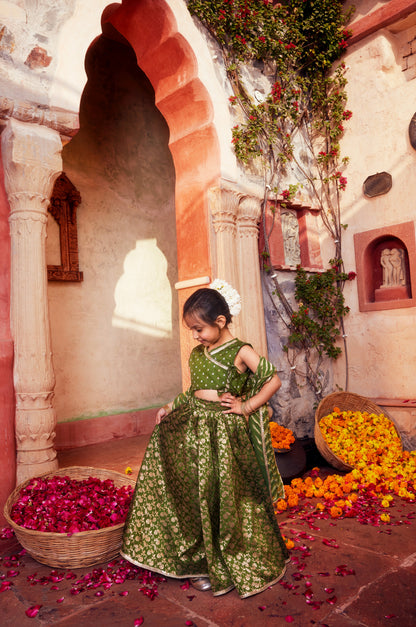 Green brocade lehenga with matching choli and dupatta